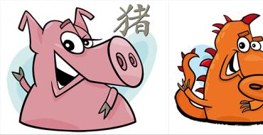 Pair of Dragon and Pig - compatible or not