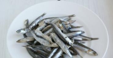 Kerch delicacy: anchovy recipes