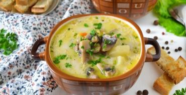 Cheese soup with chicken - simple, quick and nutritious