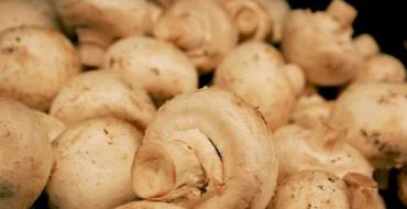 샴 피뇽 : 버섯의 구성, 유익한 특성 및 해로움