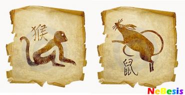Jak kompatybilne są Szczur i Małpa według horoskopu wschodniego
